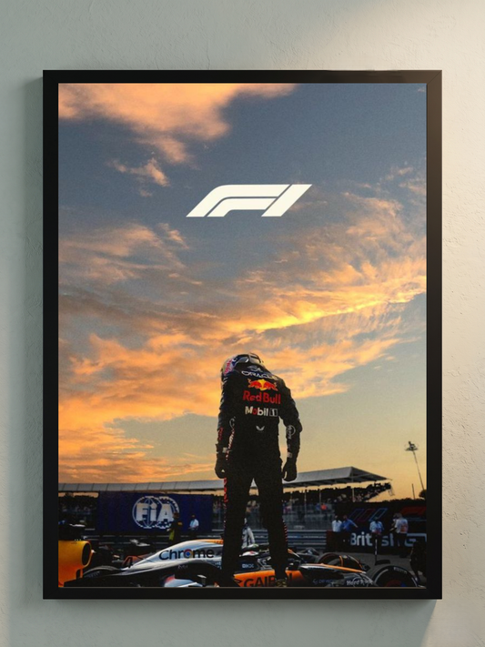 F1 RED BULL